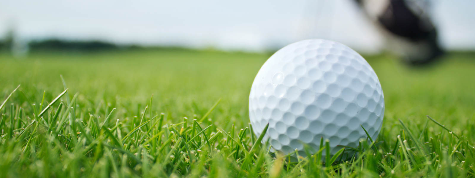 Polkemmet Family Golf Tournament image