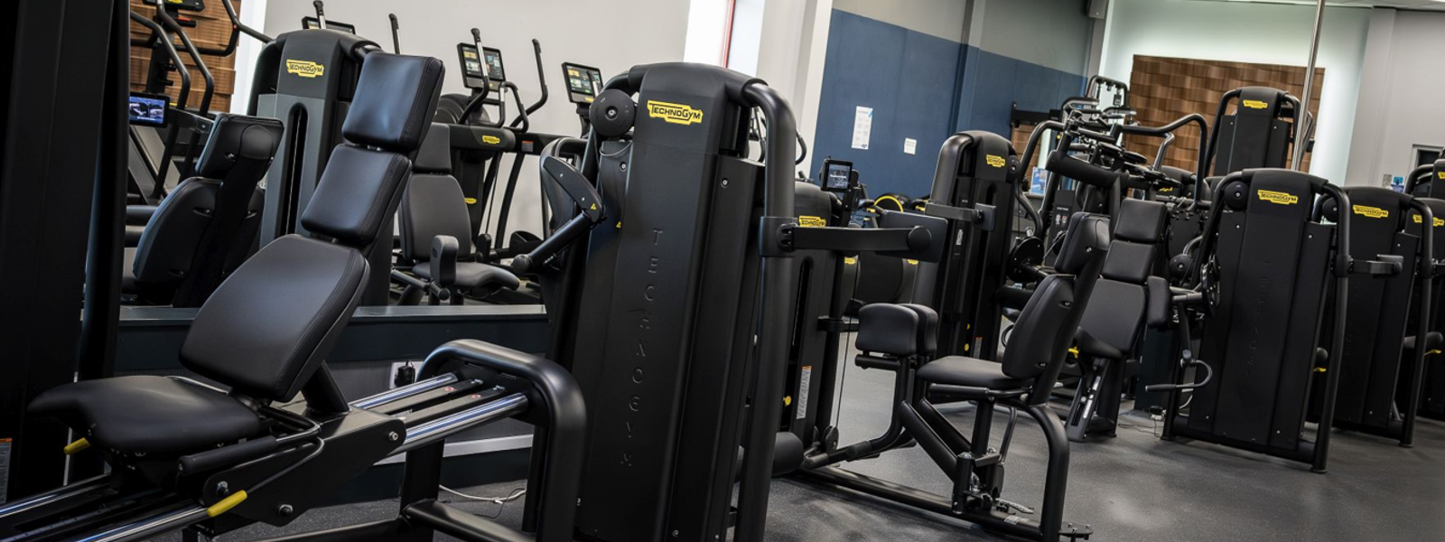 Become an Xcite PT image